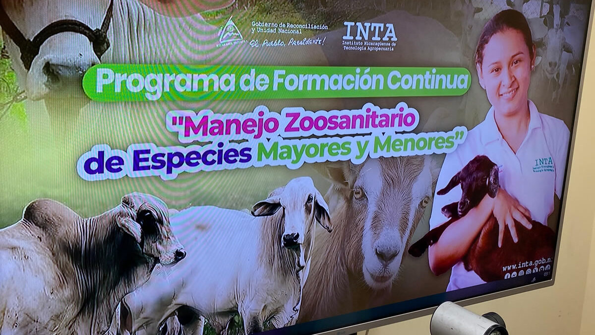 Fortalecen producción ganadera con programa de manejo zoosanitario