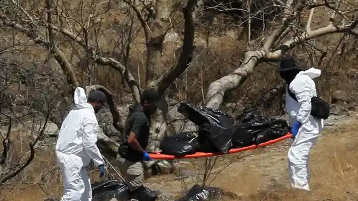 Descubren 24 cadáveres en fosa clandestina de Zapopan durante un operativo