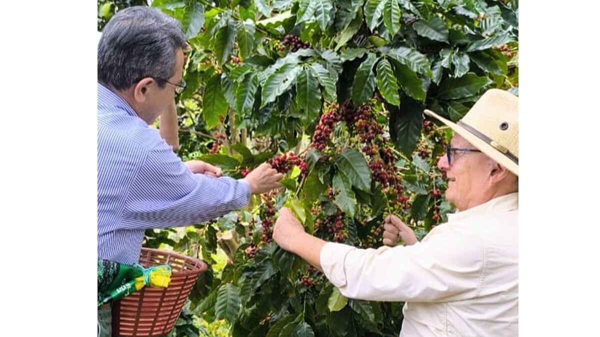 Embajador de Japón visita fincas cafetaleras en Nueva Segovia