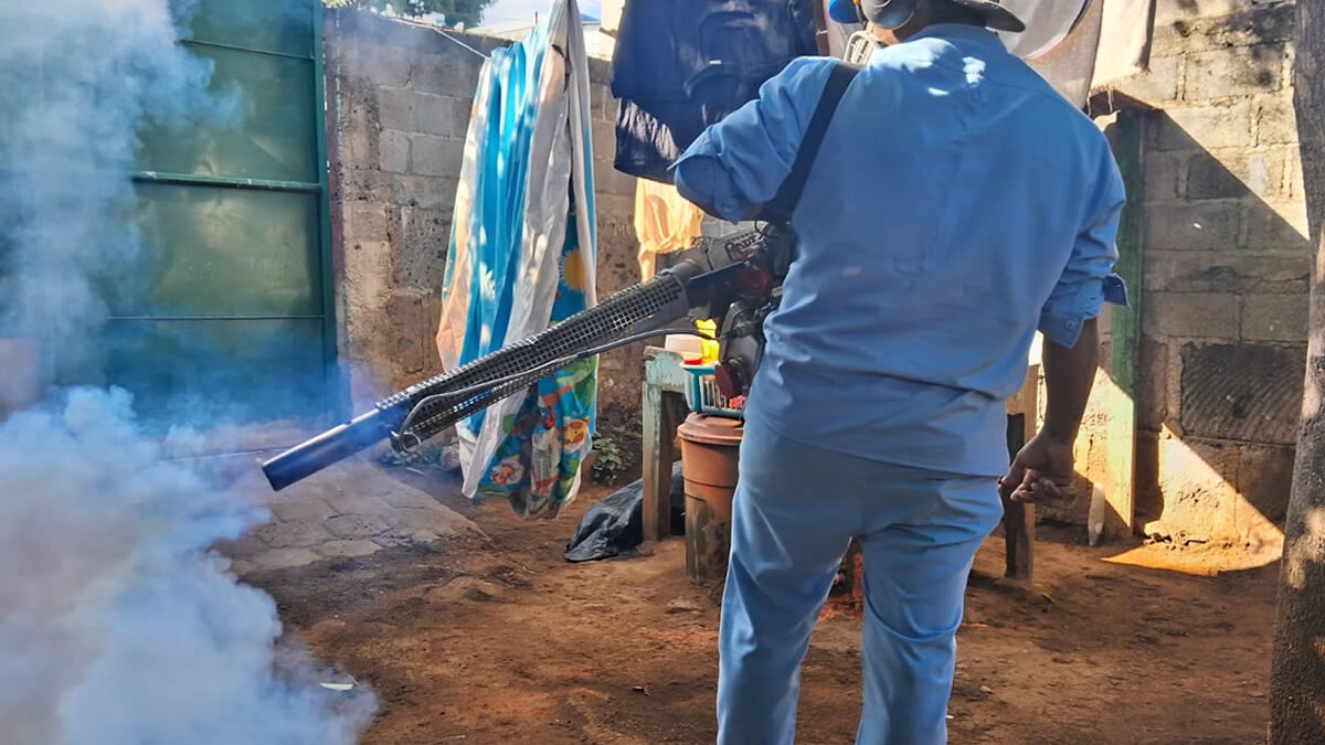 Fumigación y prevención benefician a más de mil hogares en Tierra Prometida