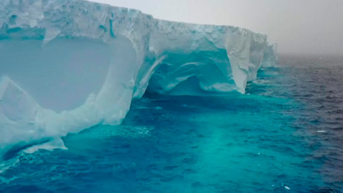 El iceberg más grande del mundo amenaza la fauna de las islas Georgias del Sur