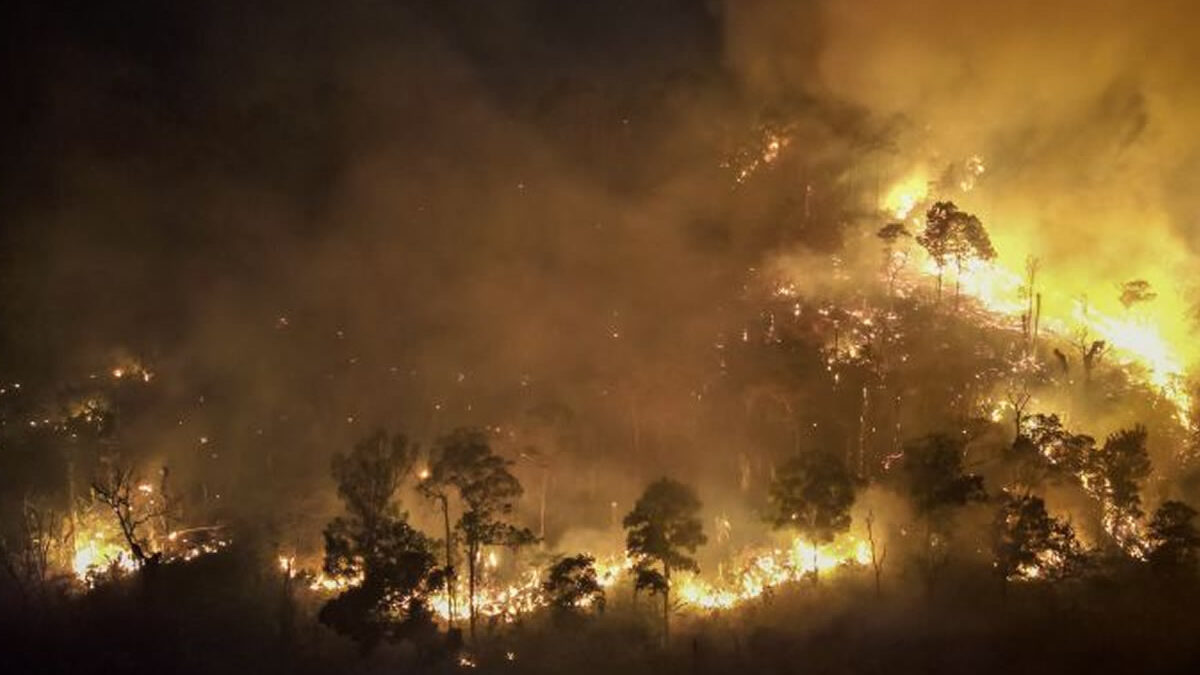 Incendios ponen en peligro a parque protegido en Tailandia