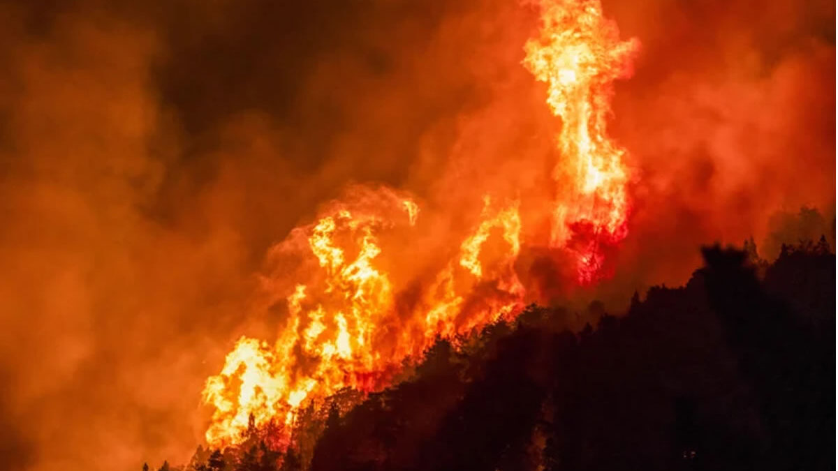 Bosques nativos de la Patagonia argentina se ven afectados por incendios