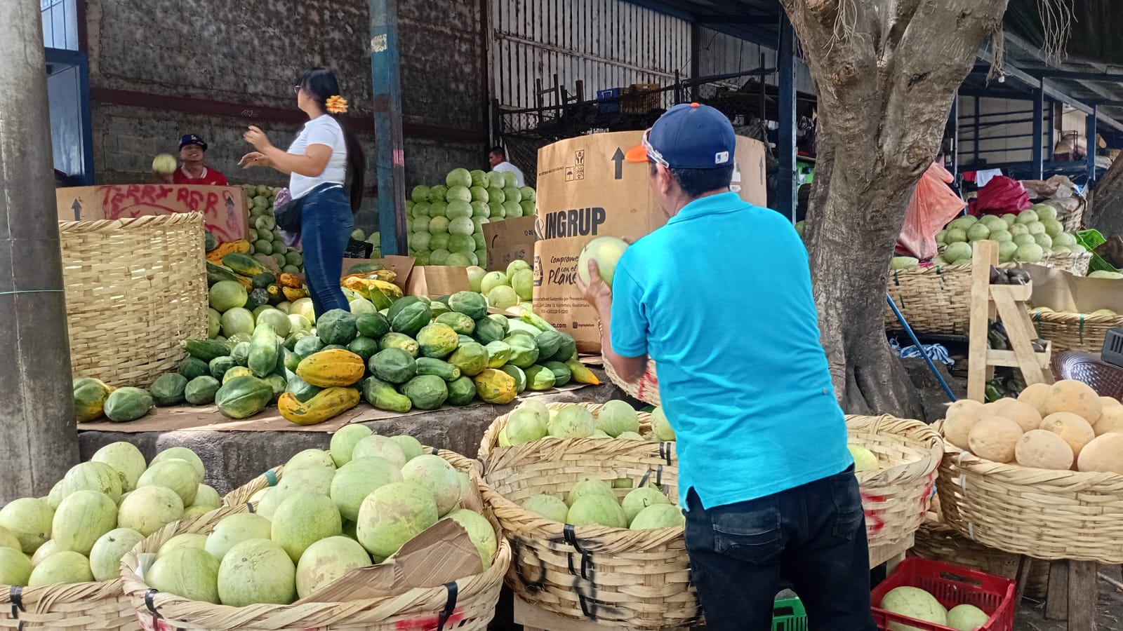 Mercado El Mayoreo reporta alta demanda de frutas de temporada