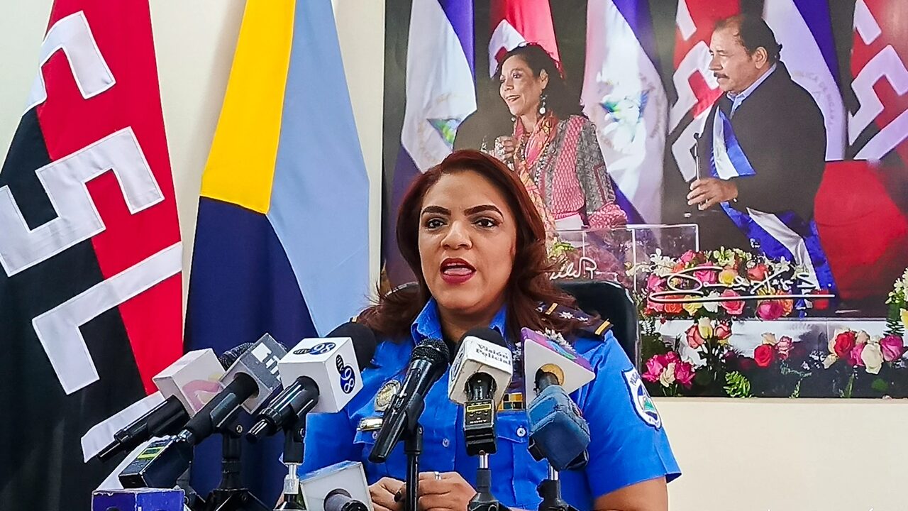 Capturan a 81 personas por distintos delitos en operativos de la Policía Nacional