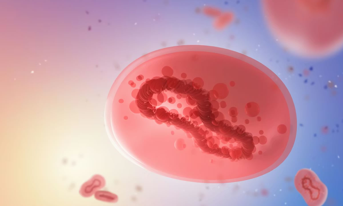 Científicos identifican mutaciones en el virus de la viruela del mono