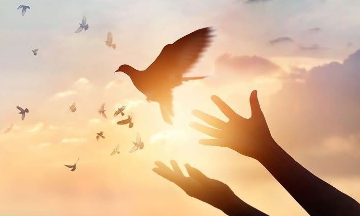 Nicaragua se prepara para el Día Nacional de la Paz con jornadas de fe y unidad