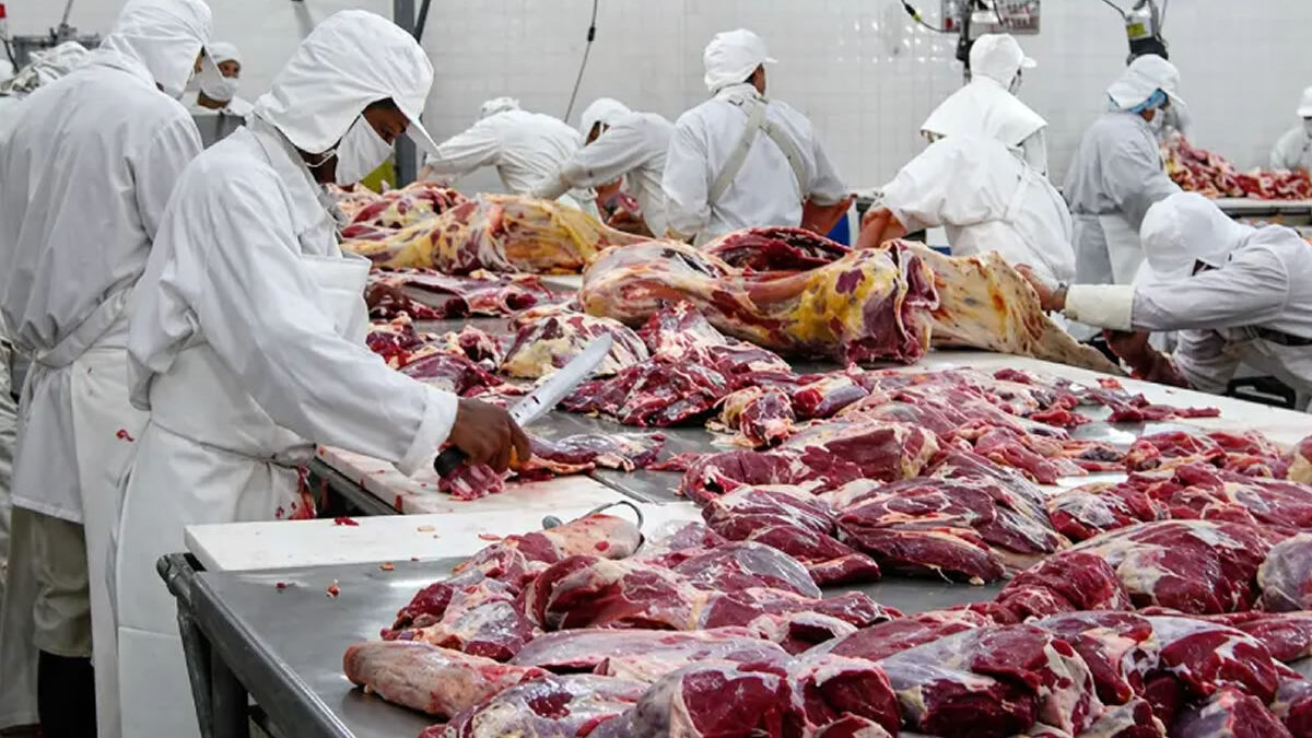 Producción ganadera en Nicaragua rebasa los 110 millones de libras en marzo