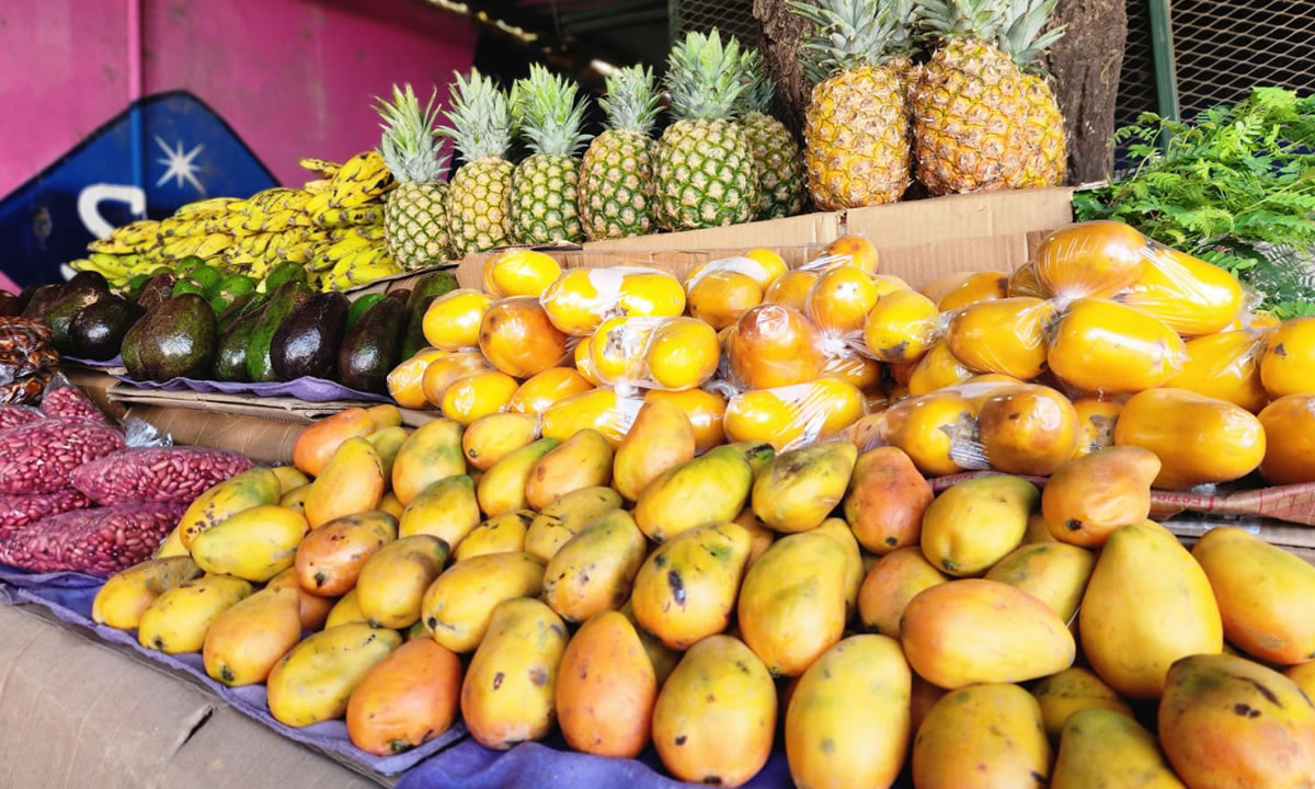 Venta de frutas de temporada supera expectativas en vacaciones de verano