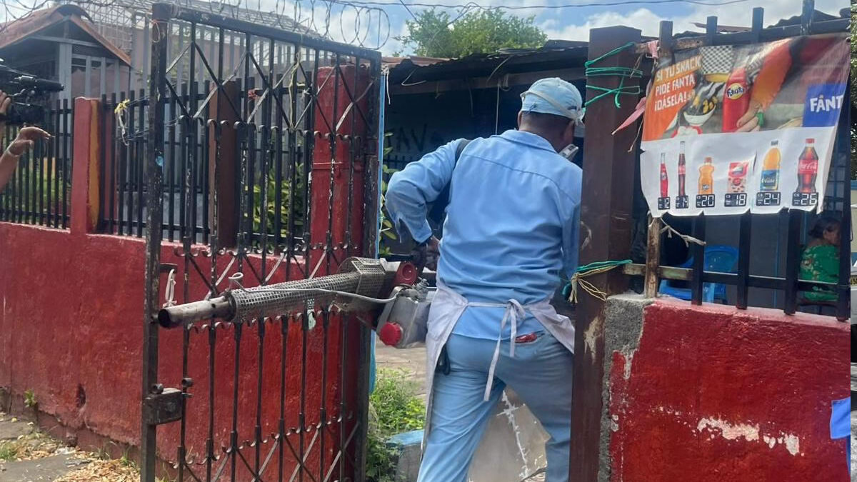 Casos de dengue disminuyen un 29% en la última semana
