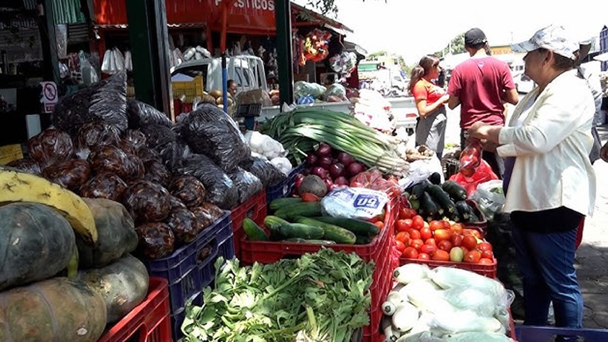 Precios estables de frutas y verduras garantizan alivio económico a las familias