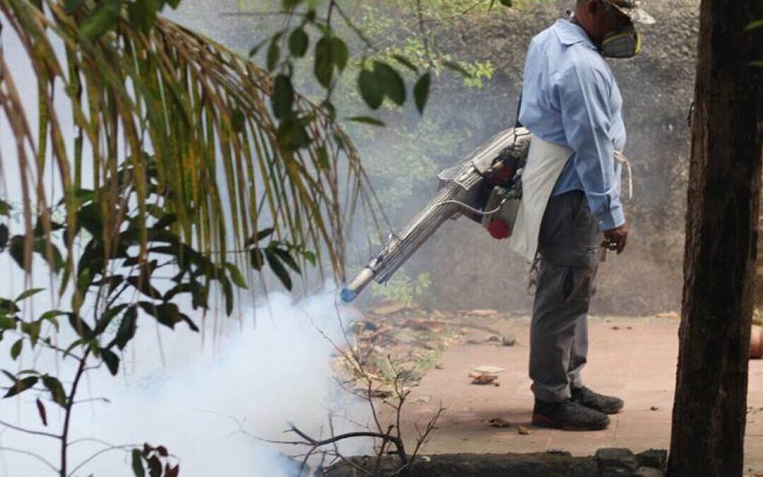 Brigadistas de salud trabajan en feriado para frenar el dengue