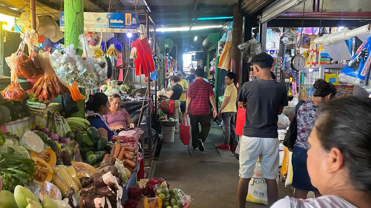 Pollo, queso y aceite registran bajas de precio en mercados de Managua