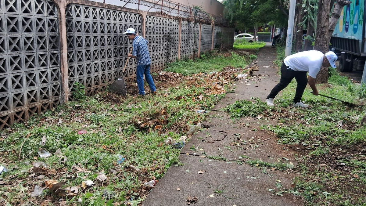 Vecinos del barrio William Díaz se unen para eliminar basurero ilegal