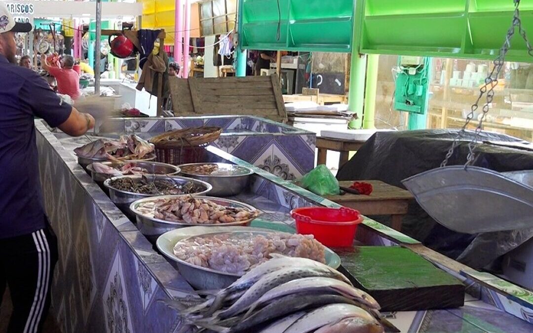 Conchas y camarones lideran la demanda en  el mercado Israel Lewites