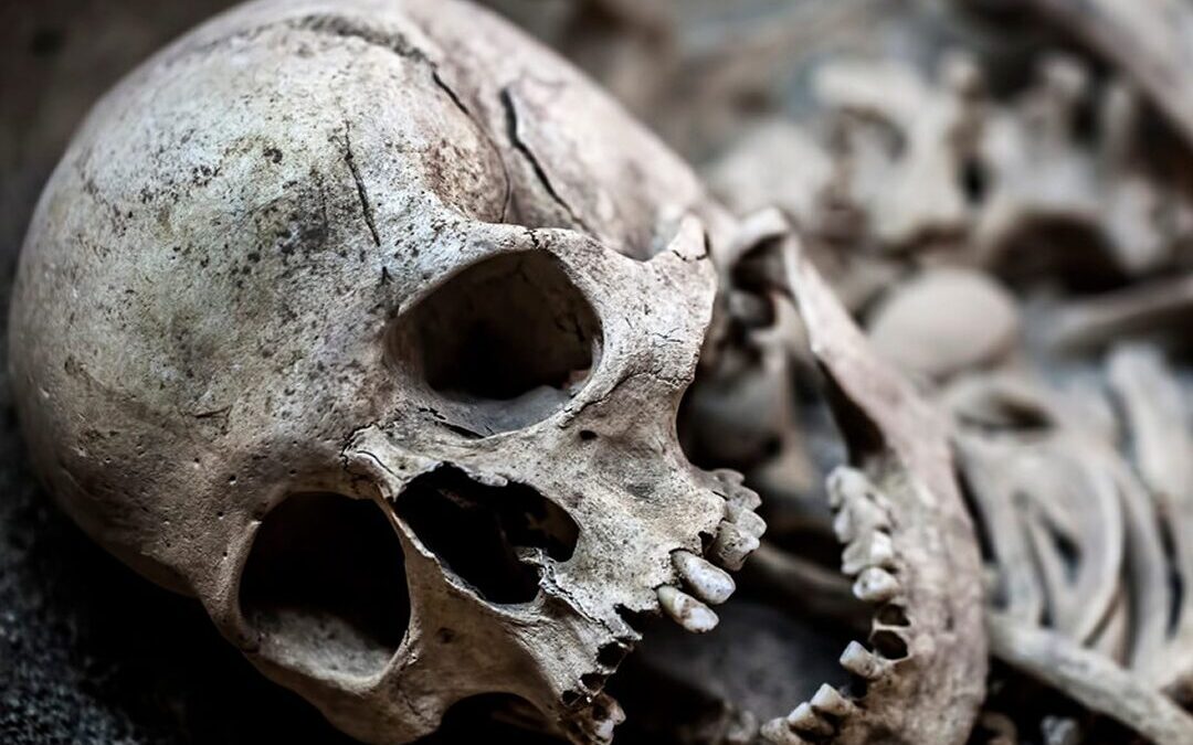 Peste mortal afectaba humanos desde hace 5.500 años, revela estudio