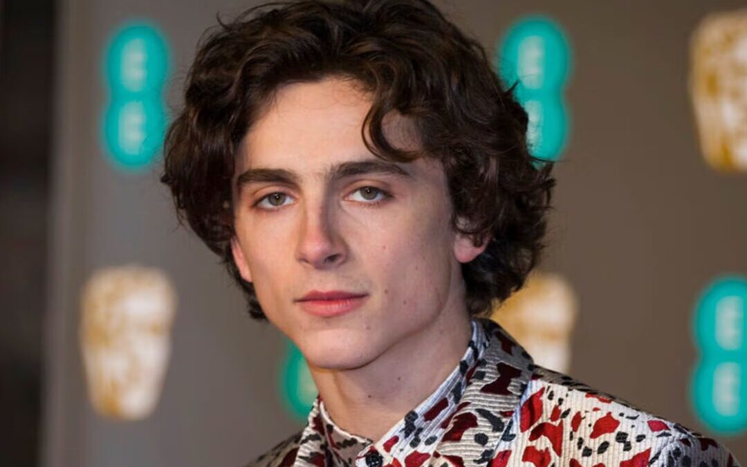 Timothée Chalamet posterga contratos millonarios en Hollywood