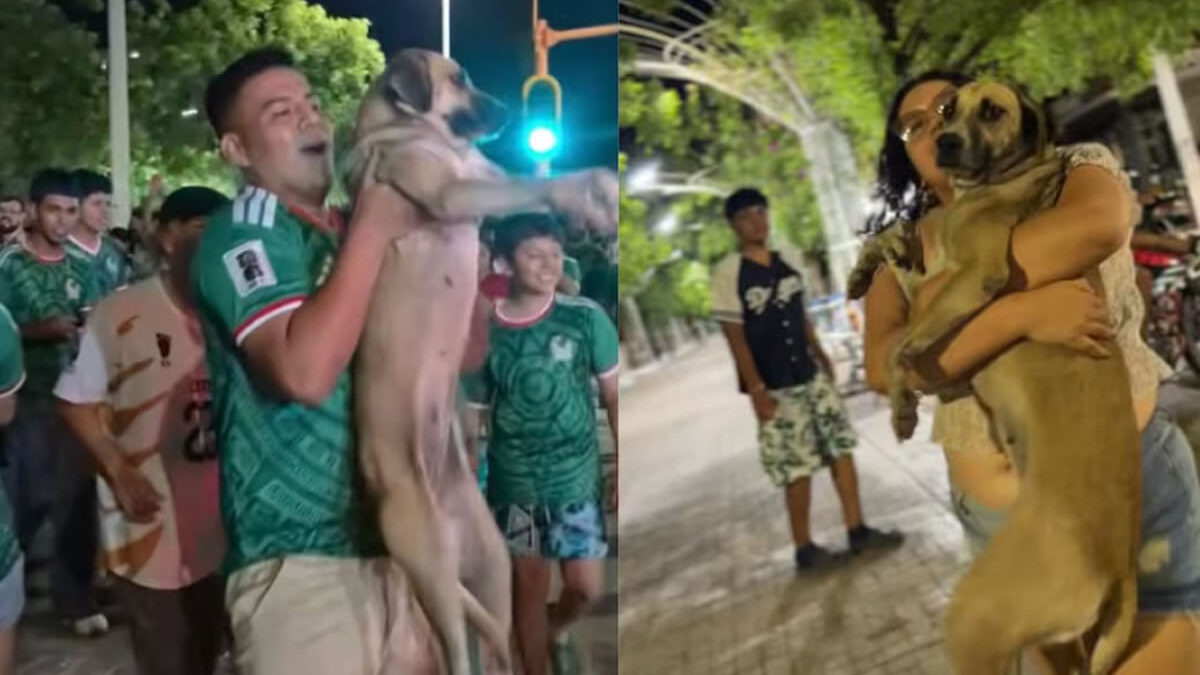 Perrita perdida reaparece celebrando triunfo de México con la hinchada