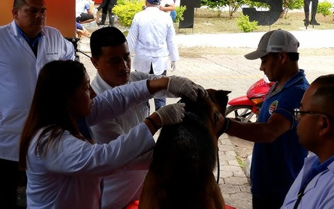 Más de 100 mascotas reciben atención veterinaria en Estelí