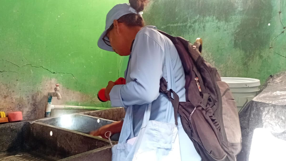 Fumigan viviendas en Batahola Sur para frenar dengue y chikungunya