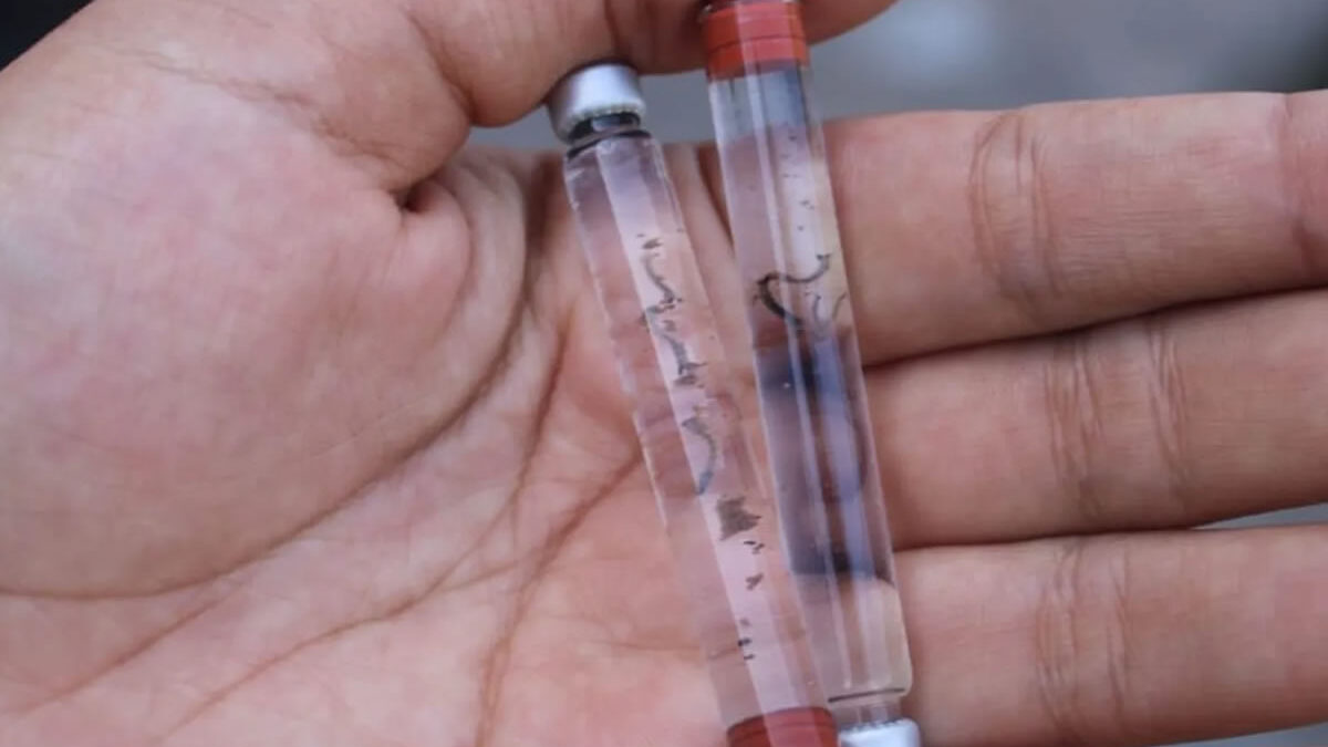 Niños sufren el mayor impacto por dengue en Panamá