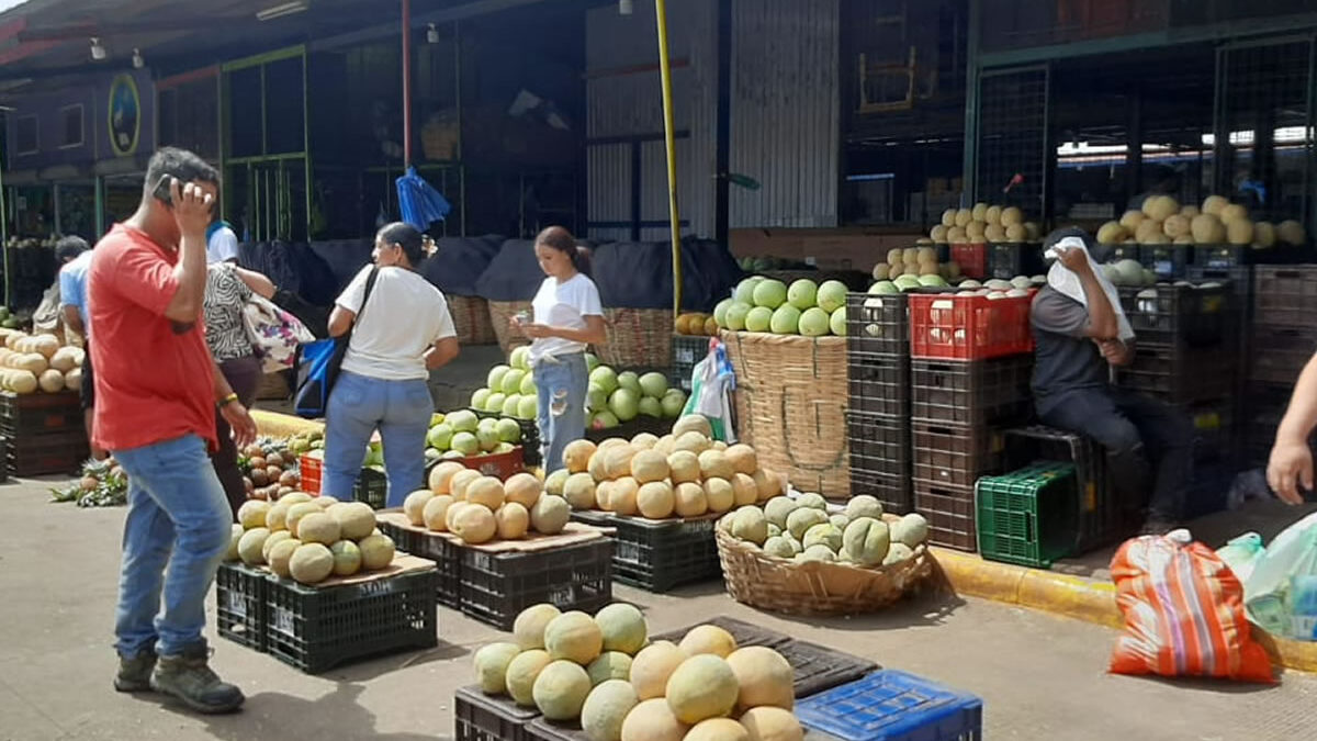 Precios de perecederos y frutas se mantienen en el mercado El Mayoreo