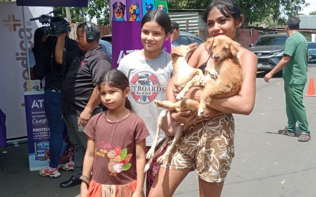 MINSA vacunará a más de 220 mil perros contra la rabia en Managua
