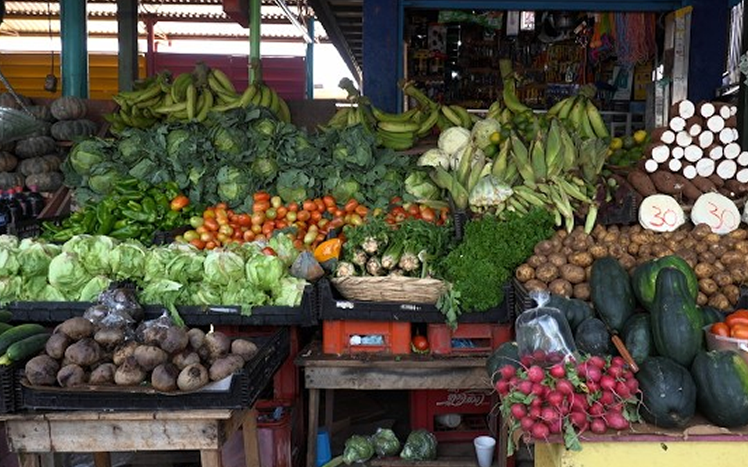 Leve incremento en los precios del repollo y el tomate en el mercado Israel Lewites