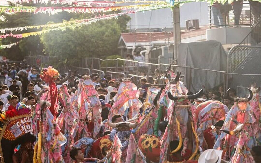 Vacas Culonas cumplen 33 años de tradición en las fiestas de Santo Domingo