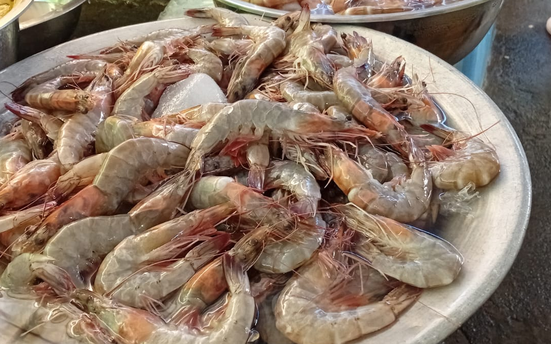 Productos del mar con buen abastecimiento en el mercado Israel Lewites