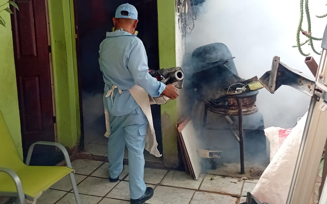 MINSA inicia cuarto ciclo de aplicación de Natular contra zancudos
