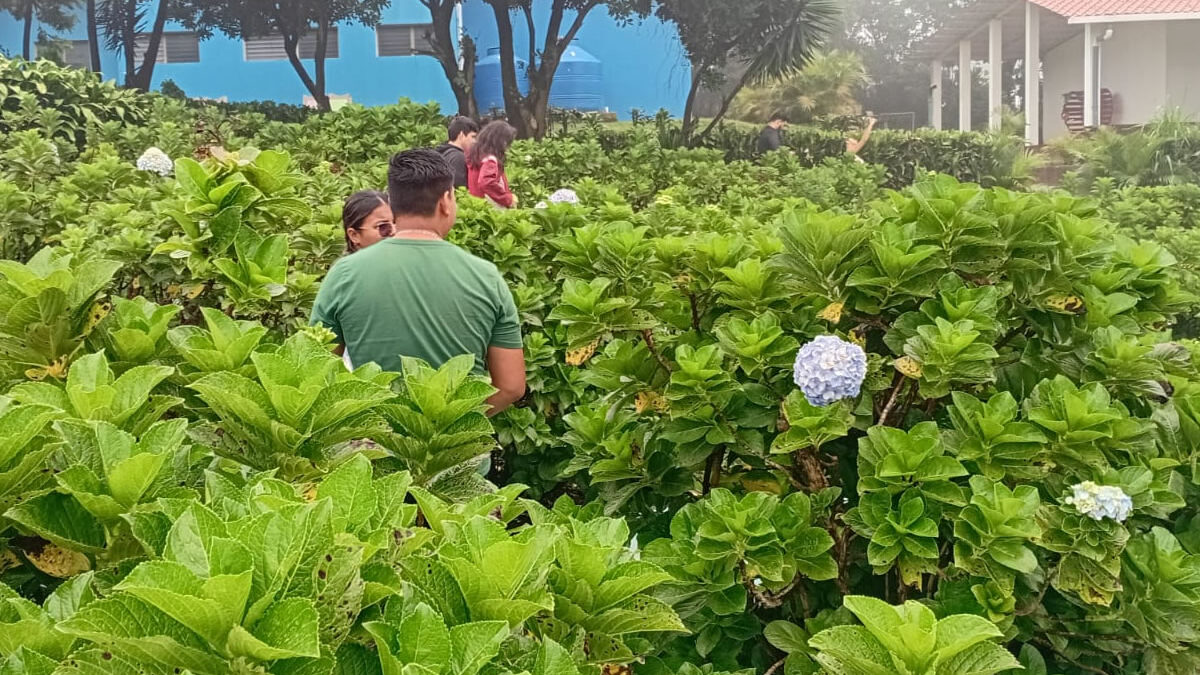 “El Crucero” atrae a familias con su agradable clima y destinos turísticos