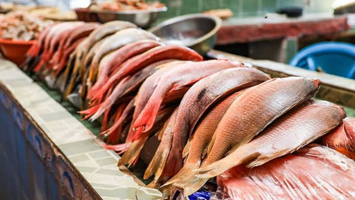 Mariscos llegan al mercado Israel Lewites por buenas condiciones para la pesca