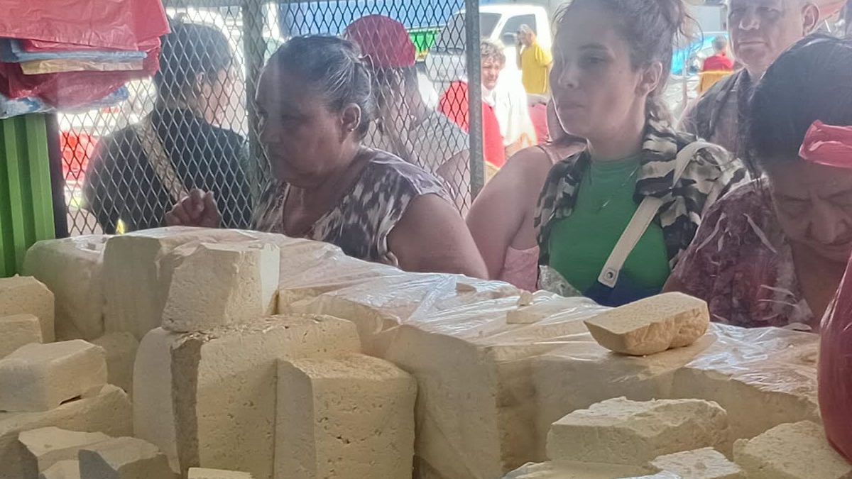 Queso seco se cotiza desde 80 córdobas en el mercado Iván Montenegro