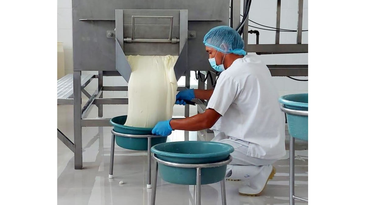 Sector lácteo de Nicaragua registra buena producción de leche