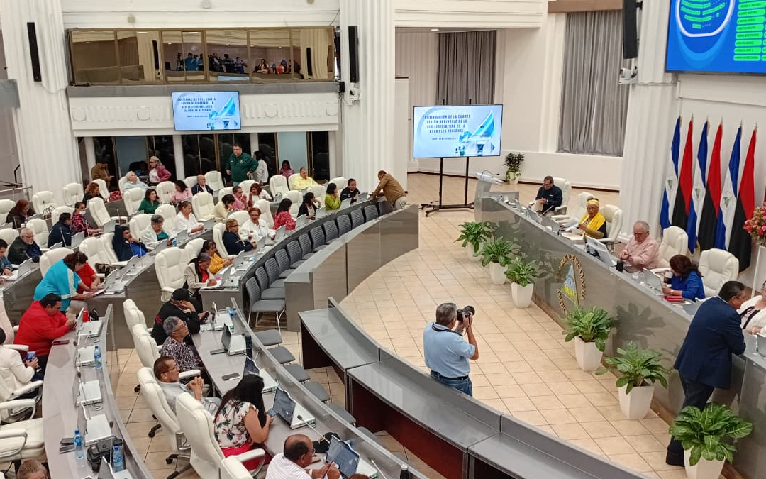 Propuesta de ley creará designados presidenciales