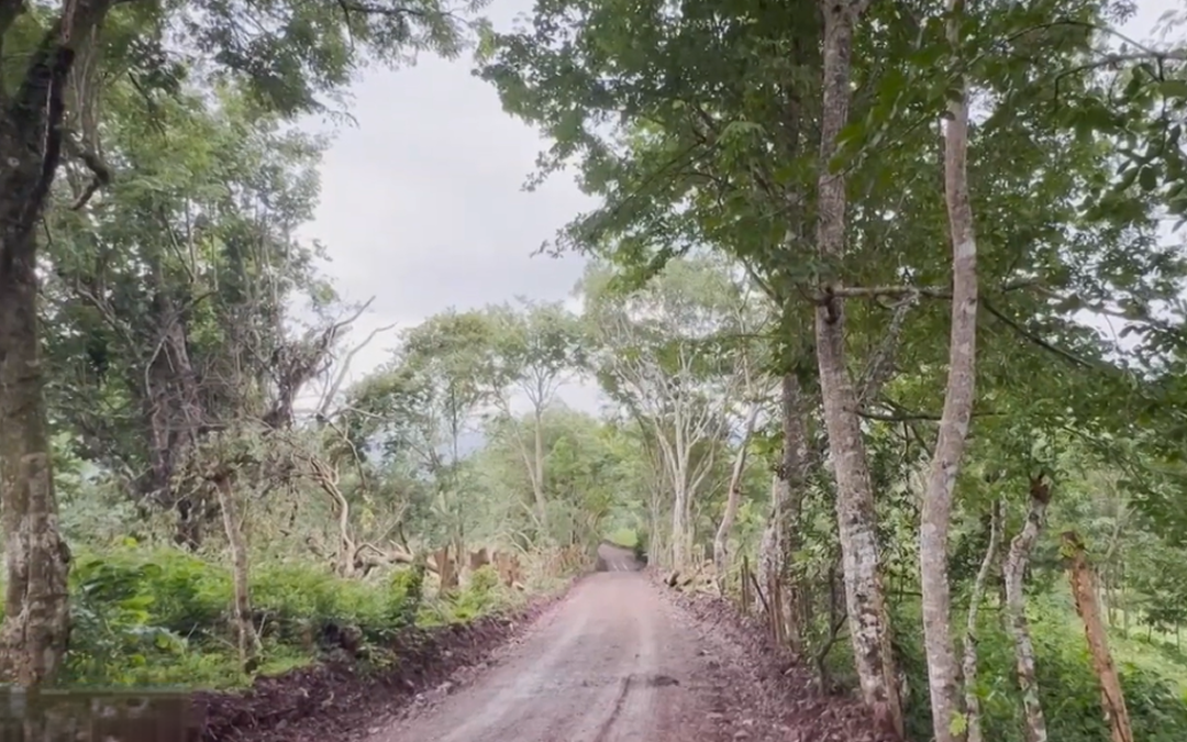 Avanza la rehabilitación de caminos en Boaco