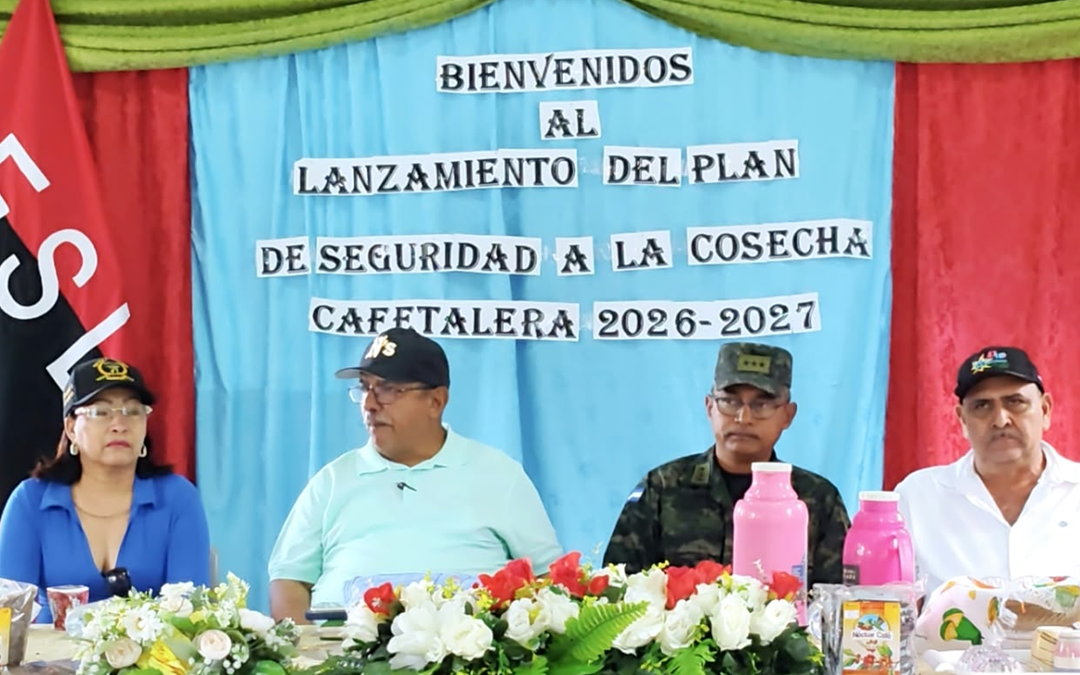 Activan Plan de Cosecha Cafetalera 2026-2027 en Nueva Segovia