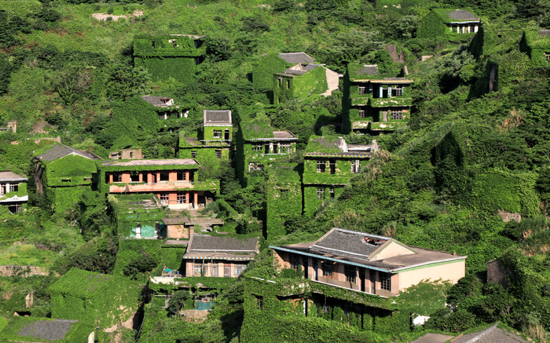 Naturaleza devora ciudad fantasma en China